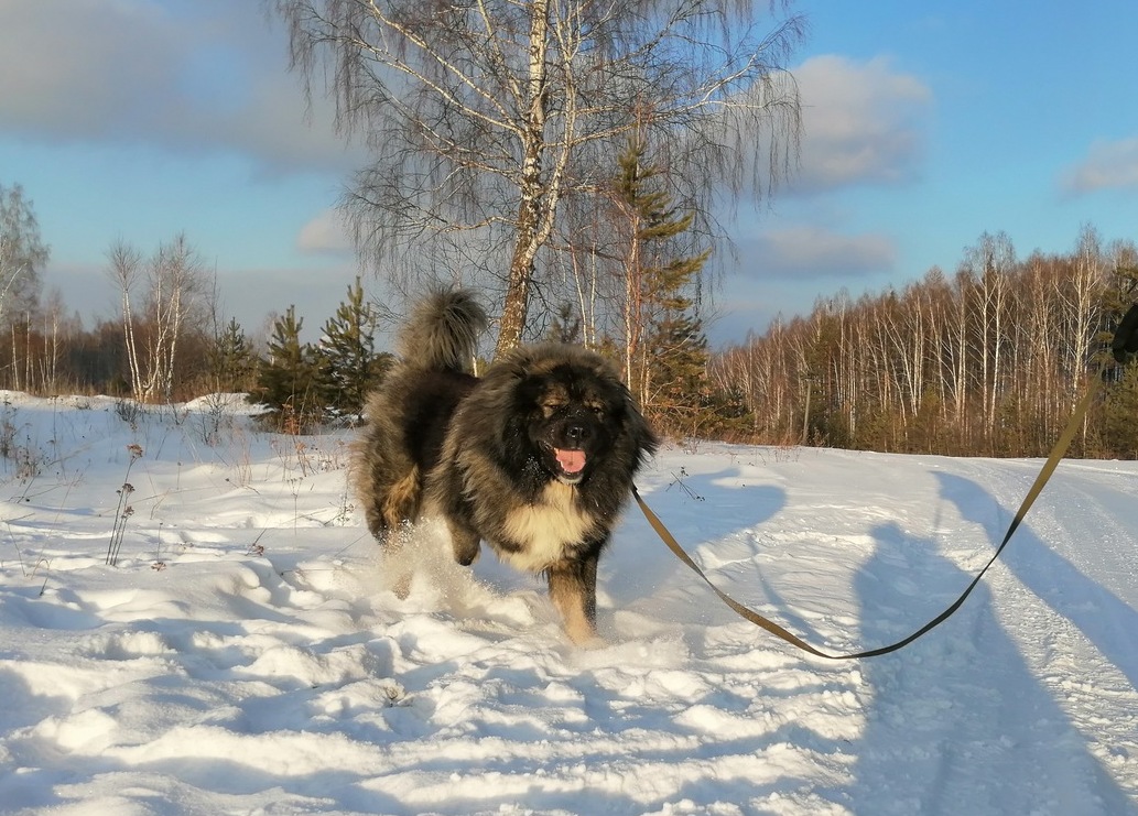 ВЛАСТЕЛИН ВСЕЛЕННОЙ 