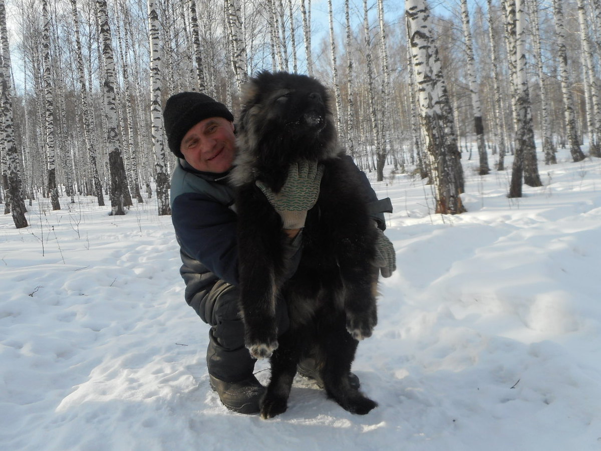 НАШ ЩЕНОК - ВОЗРАСТ 3 месяца 