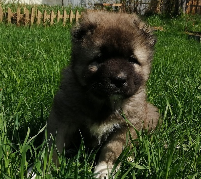 Как развить память и еще больше запоминать новых слов