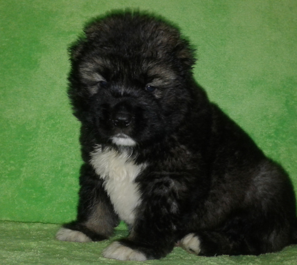 Как развить память и еще больше запоминать новых слов