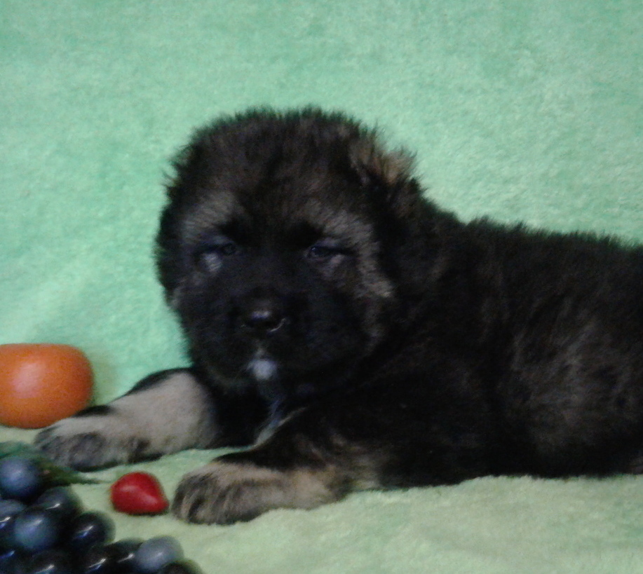 Как развить память и еще больше запоминать новых слов