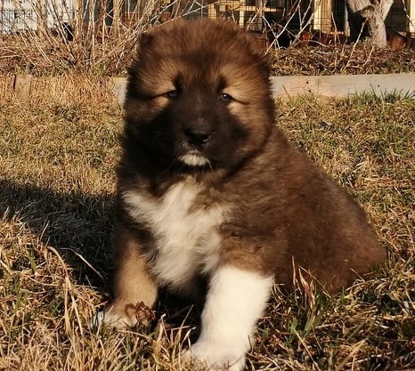 Как развить память и еще больше запоминать новых слов