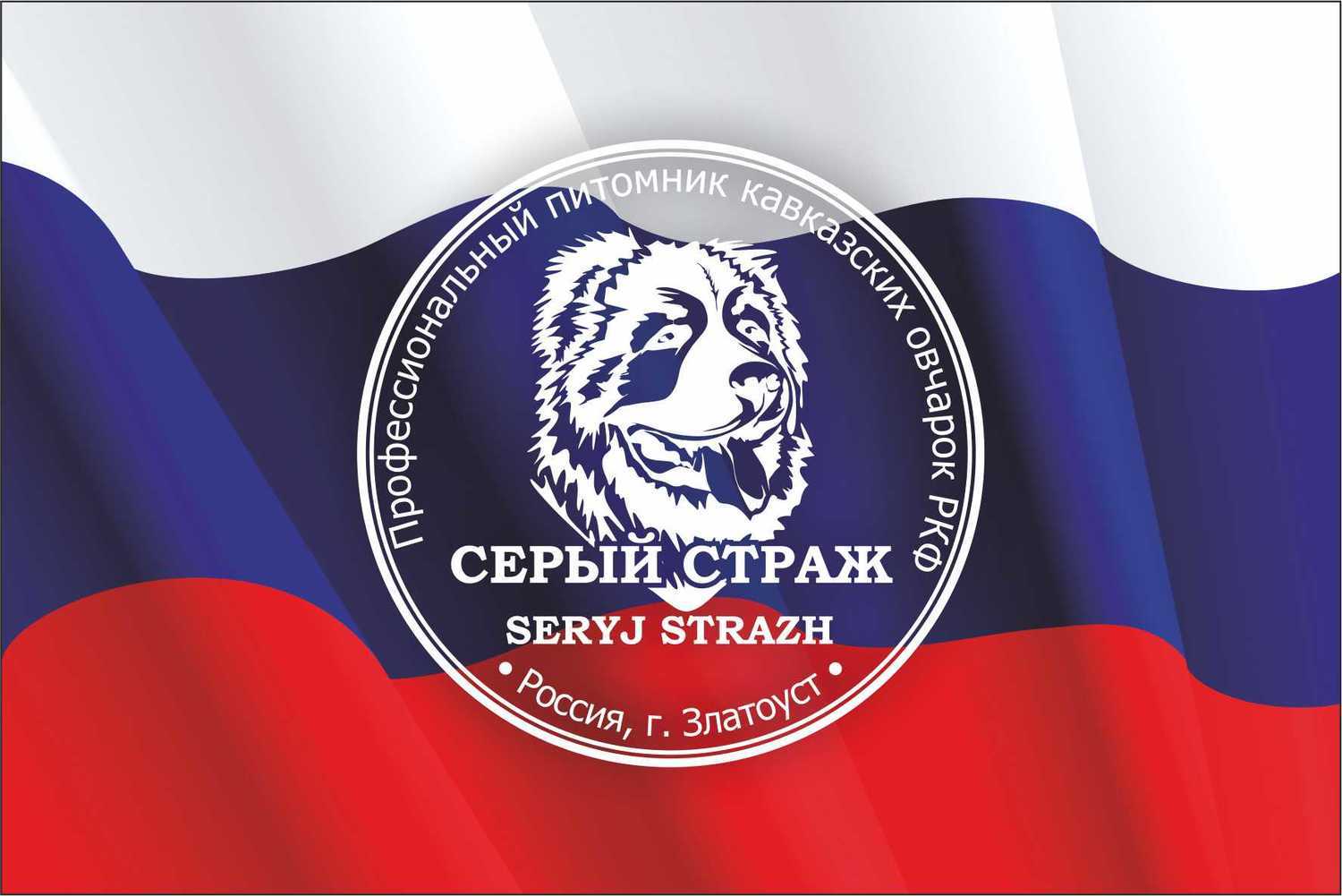 СЕРЫЙ СТРАЖ АРИША - 1 год